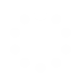 Zoobie Blocks
